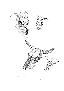 Mācību akadēmiskā zīmējuma pamati